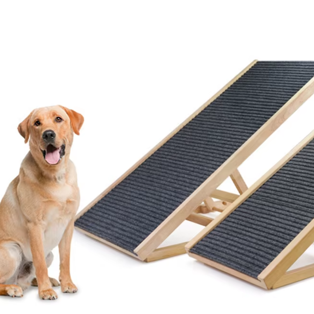 foto rampa portada 1